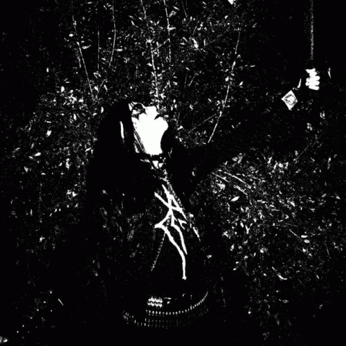 Mäleficentt : Night of Eternal Darkness